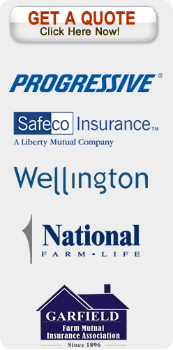 Insurance companies offered by Buesing Insurance in Victoria